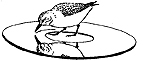 Vogelaar Audio